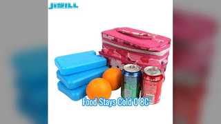 بسته یخ 600 میلی لیتری غذا را سرد نگه دارید 0-8 درجه سانتیگراد