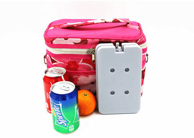 BPA رایگان پلاستیکی قابل استفاده مجدد آبی یخ کولر بسته های فریزر بلوک قابل حمل