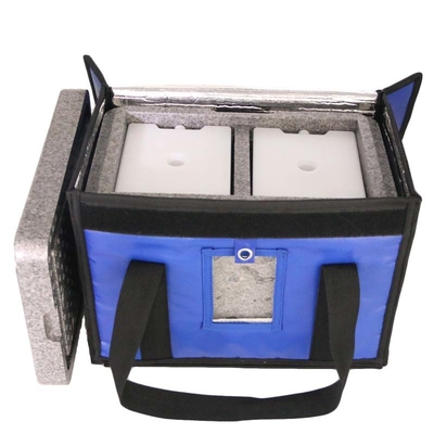 جعبه خنک کننده با کیسه های سرد و انسولین مواد پزشکی 20 لیتری EPP